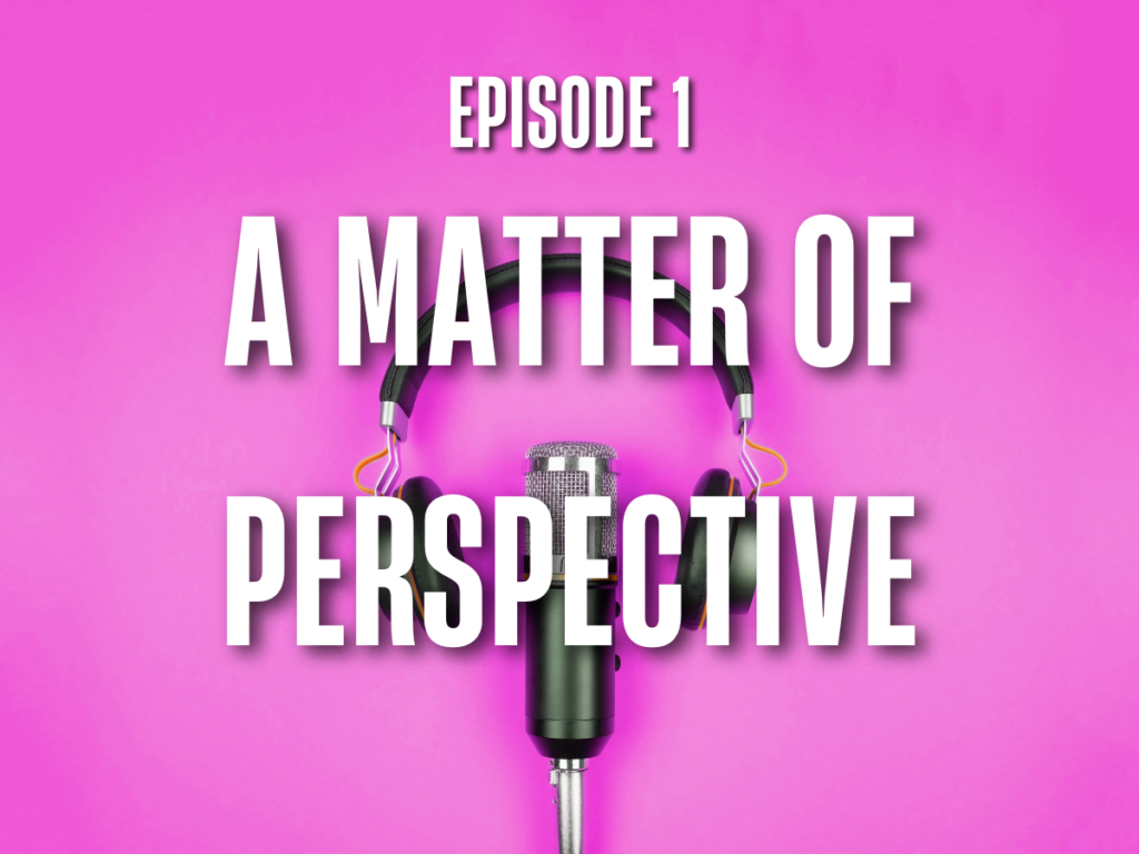 E1: A Matter of Perspective